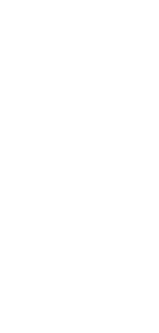 Capa_1