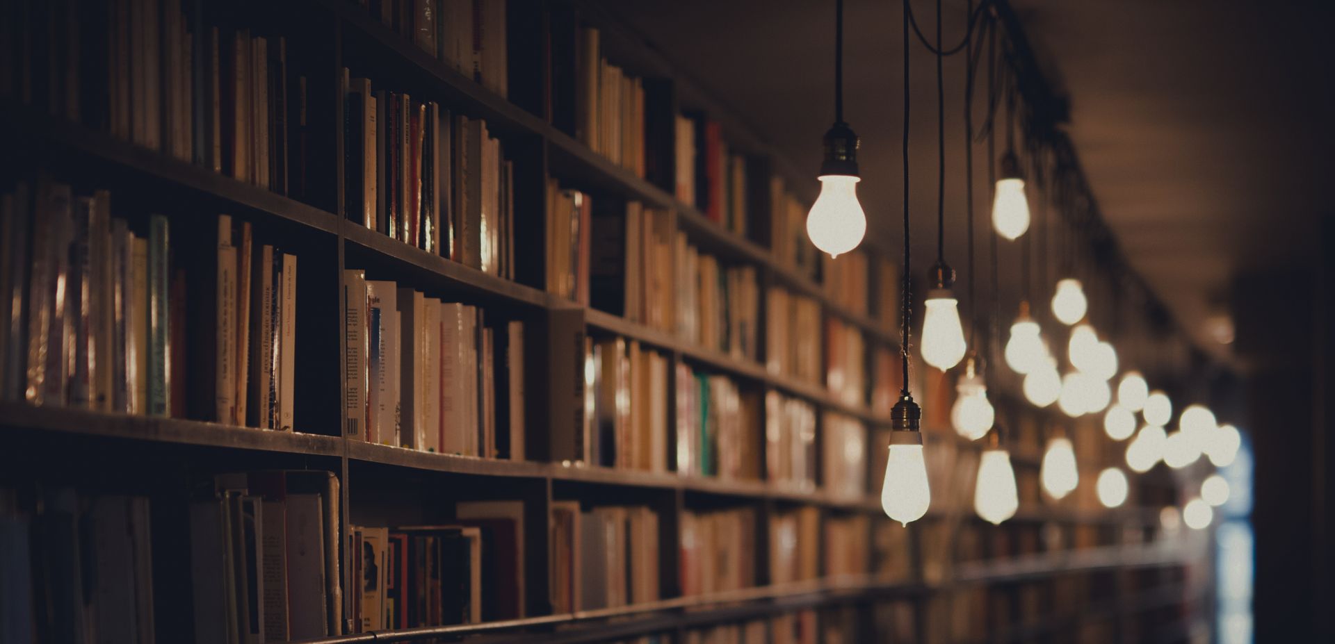 janko-ferlic-sfL_QOnmy00-unsplash 1